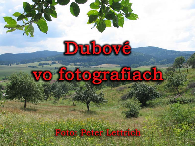 Fotogaléria Dubové vo fotografiách (256) Dubové vo fotografiách